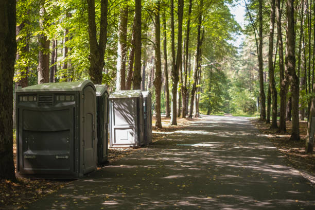 Best Luxury portable toilet rental  in Waverly, IL